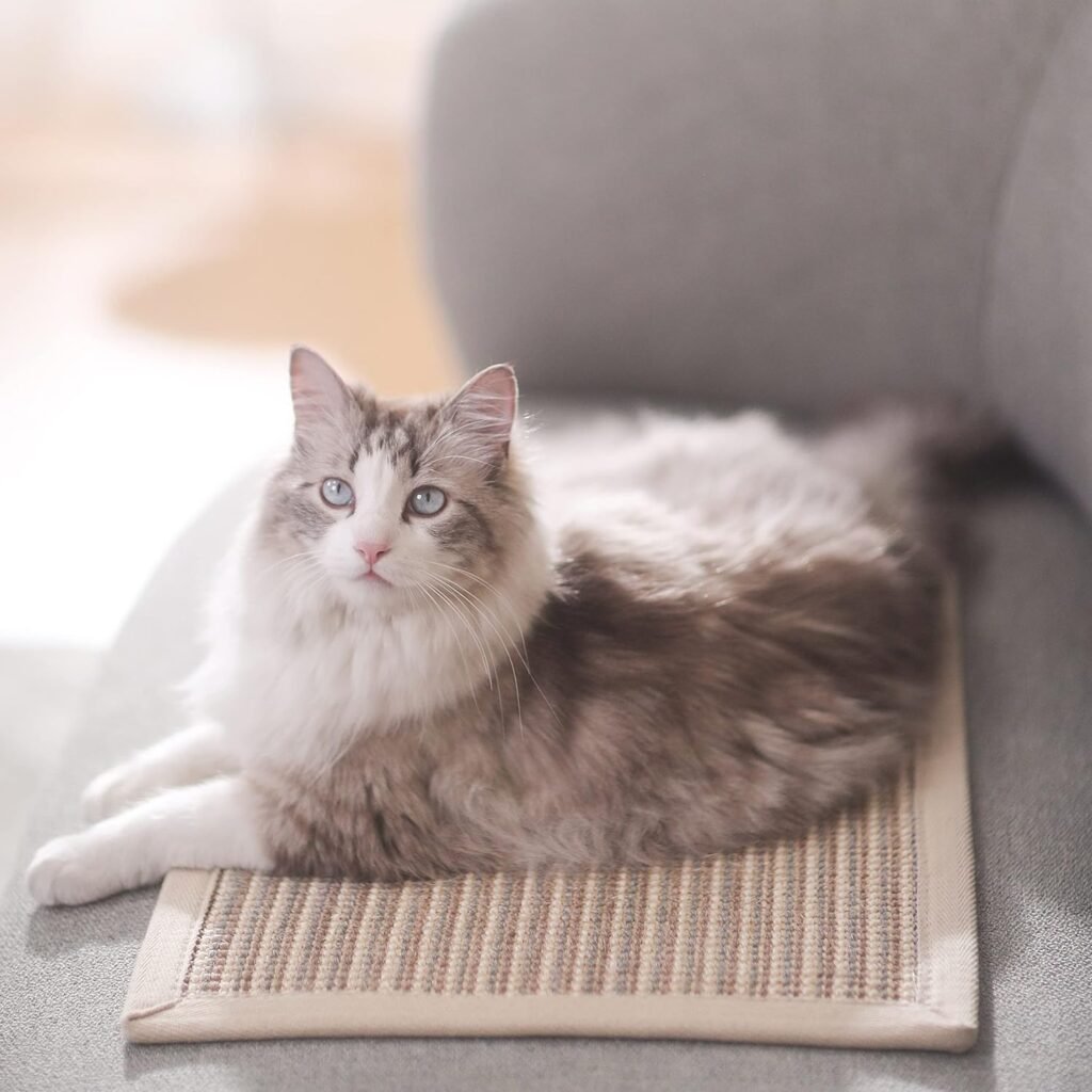 Krabton voor katten met sisal kraboppervlak en houten frame - speel- en rustmeubel - 40x60 cm compact kattenmeubel
