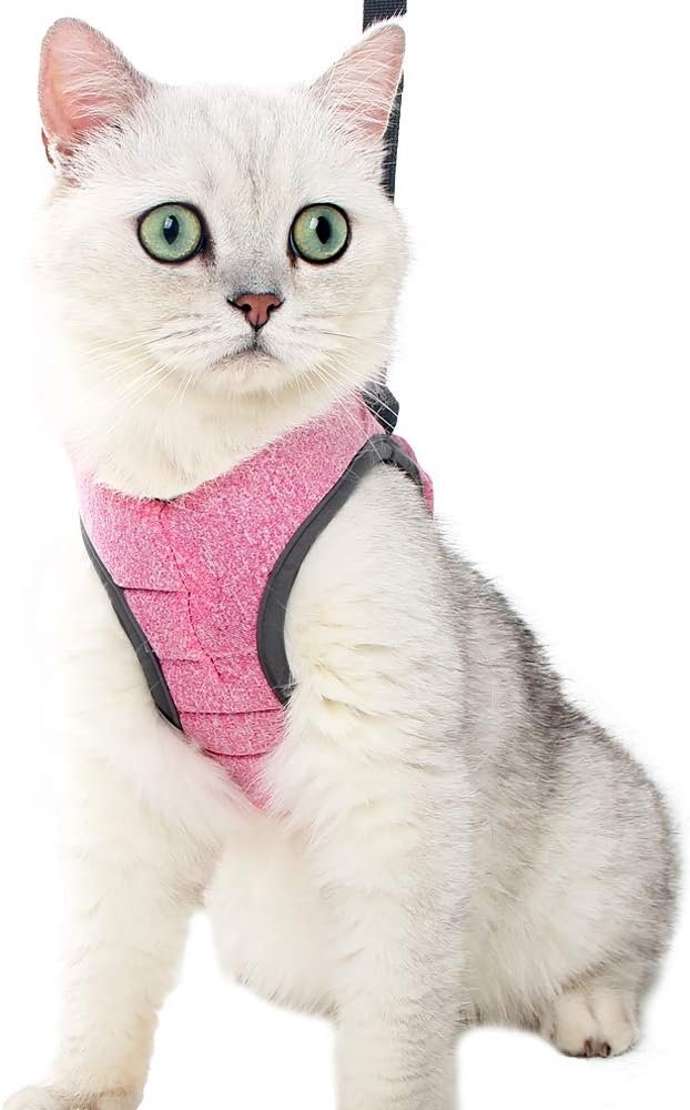 Ontsnappingsbestendig kattentuigje verstelbaar gewatteerd met looplijn voor veilig wandelen met kat kleine maat