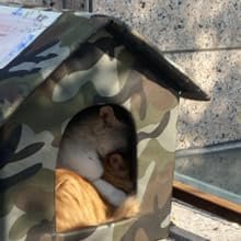 Waterdicht opvouwbaar kattenhuis voor buiten van Oxford stof, weerbestendig dierenverblijf voor wintergebruik met compacte vorm en isolerende eigenschappen