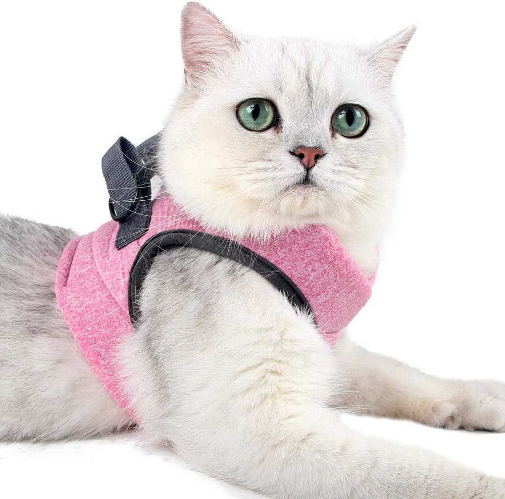 Ontsnappingsbestendig kattentuigje verstelbaar gewatteerd met looplijn voor veilig wandelen met kat kleine maat