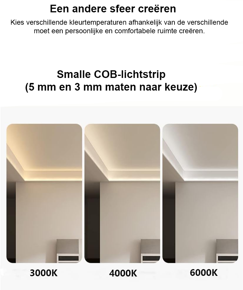 COB LED strip 12V 5 meter koud wit 6000K waterdicht en flexibel voor binnen- en buitenverlichting met CRI 90+