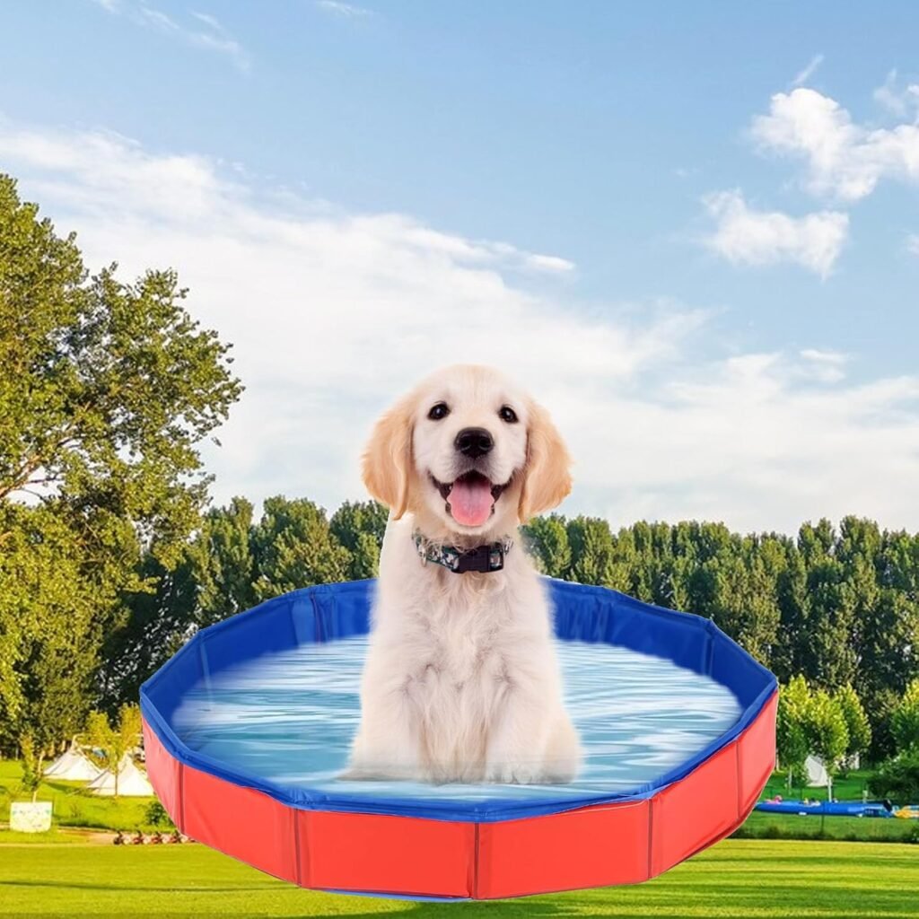 Hondenbad opvouwbaar voor kleine honden - honden zwembad en kattenbad - PVC dierenbad met sprinklerfunctie - 50 x 8 cm