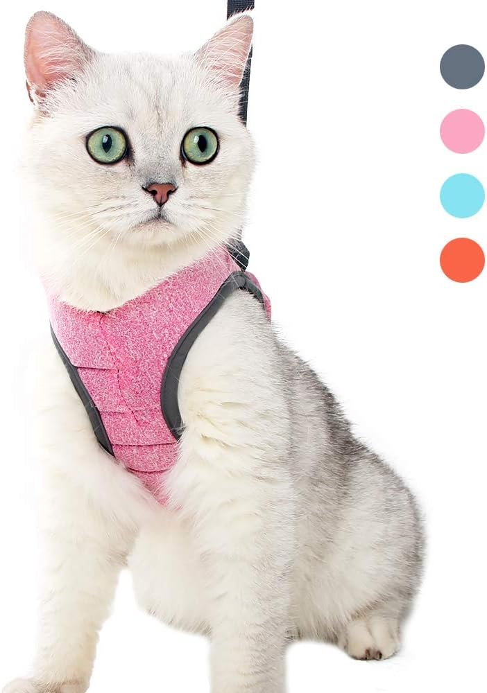 Ontsnappingsbestendig kattentuigje verstelbaar gewatteerd met looplijn voor veilig wandelen met kat kleine maat