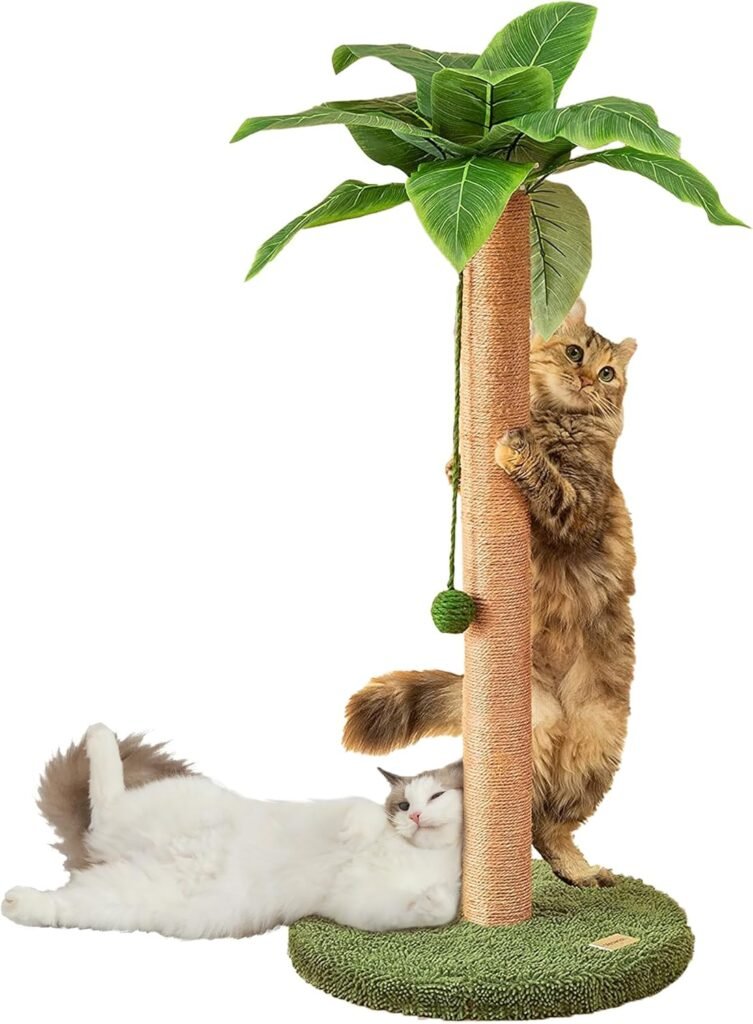 Katten krabpaal 83 cm palmvorm sisal touw krabpaal met hangende ballen voor binnenkatten kleine katten speelmeubel