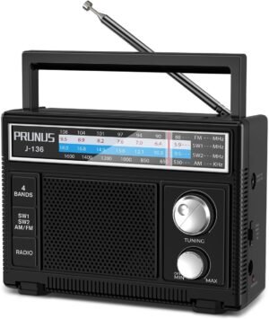 Draagbare FM/AM Transistorradio - Mini Radio met AUX en Microfoonaansluiting - Analoge Batterijradio voor Senioren en Onderweg