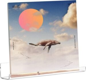 Vinyl platenhouder acryl set van 6 – LP wandplanken voor albums – transparante wandmontage display – muziekcollectie presentatie