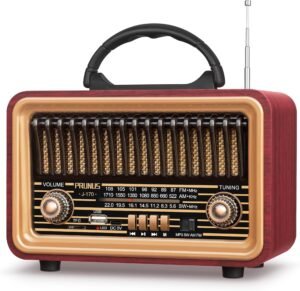 Draagbare Bluetooth Radio met AM FM – Oplaadbare Stereo Muziekspeler voor Buiten en Thuis – USB TF TWS Ondersteuning – 1800mAh Batterij