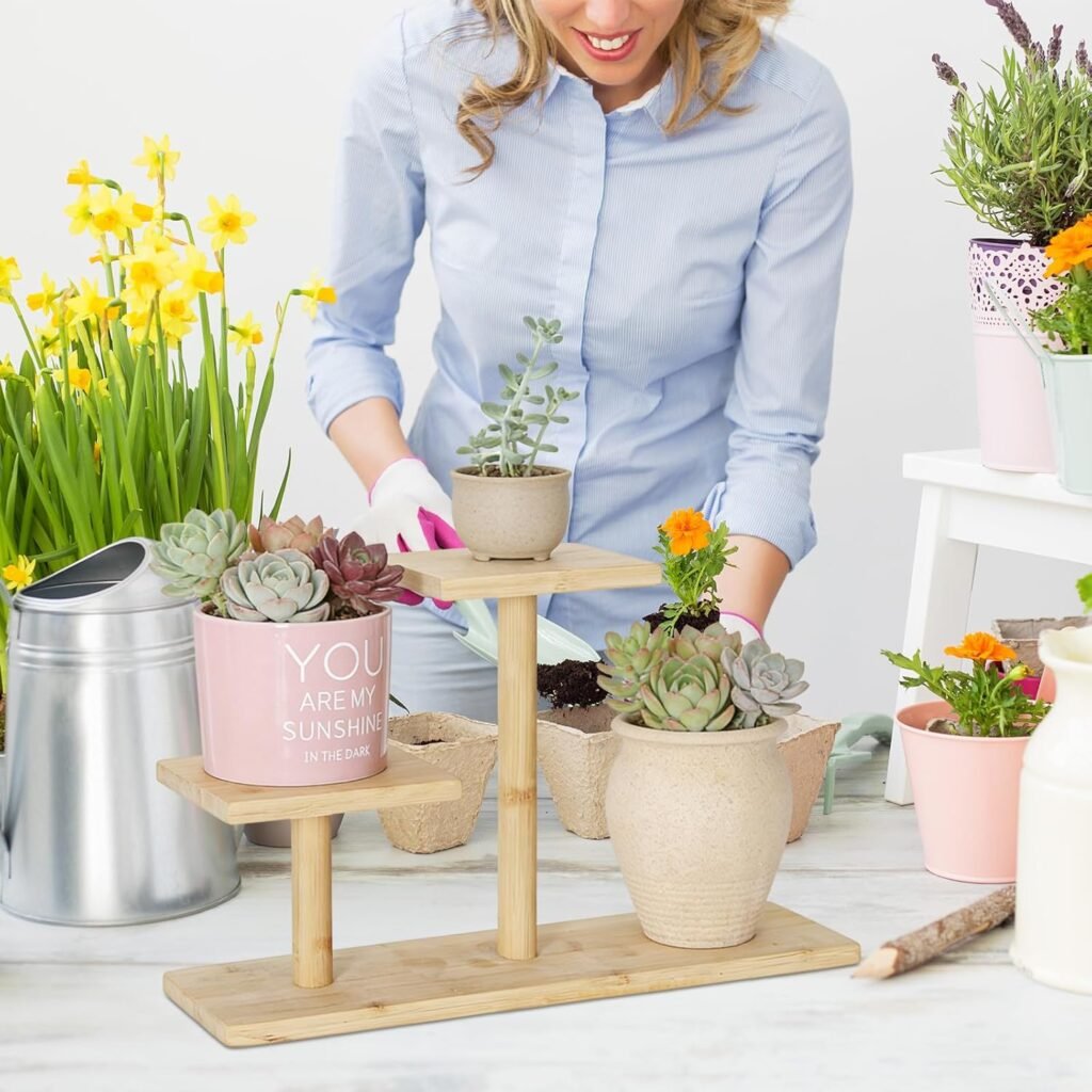 Bamboe plantenrek 3 laags tafelmodel voor succulenten en planten op bureau, balkon, tuin of patio