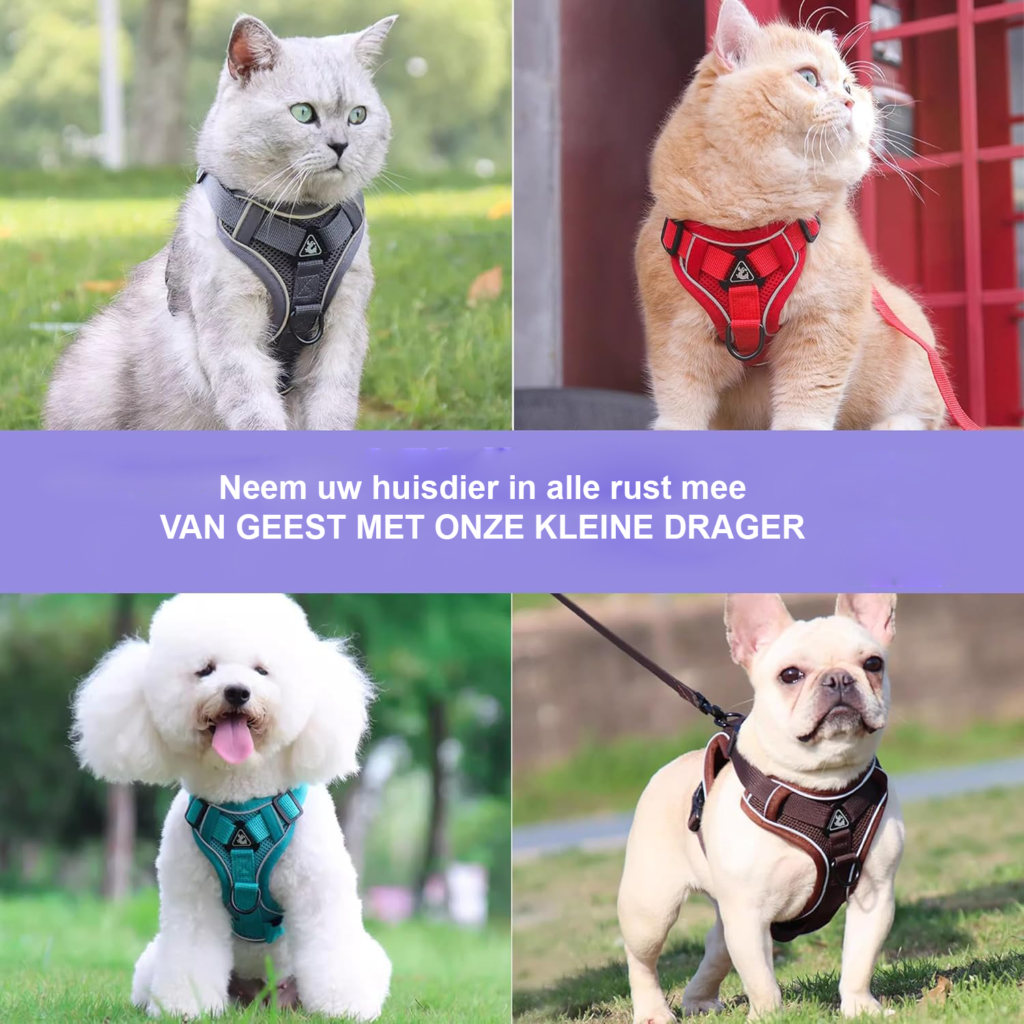 Verstelbaar kattenharnas met 150 cm lijn van polyester voor kittens en katten in maat M