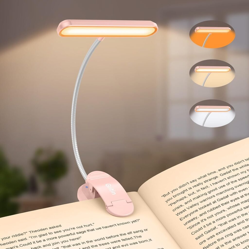 Leeslamp met 19 LED's, USB-C oplaadbare boekenlamp met flexibele 360° klem en dimbare verlichting voor bed of bureau