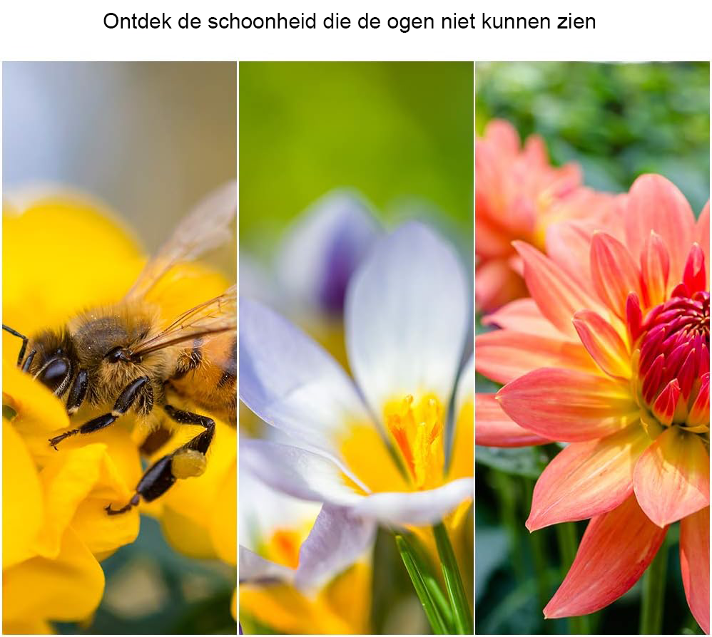 58 mm macro filter set voor DSLR-camera's met 4 lensfilters en lensfiltertas