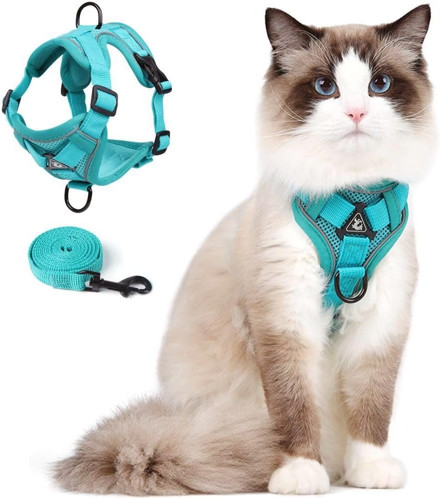 Verstelbaar kattentuigje met reflecterende strepen en 150 cm nylon lijn voor kleine katten en kittens