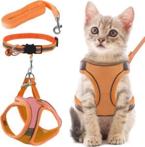 Kattenharnas met Looplijn – Anti-Ontsnapping en Verstelbaar – Reflecterende Strepen – Oranje Maat S