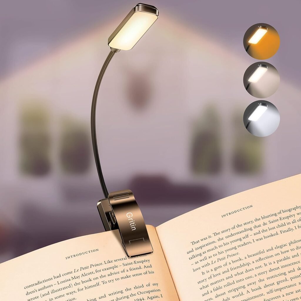 Boeklamp met klem, 9 LED's, oplaadbaar, dimbaar met warm en koel wit licht