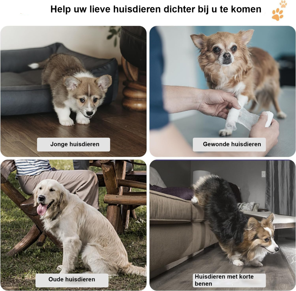 Hondentrap met 3 treden voor kleine honden, 30 cm hoog, met antislip onderkant en wasbare hoes