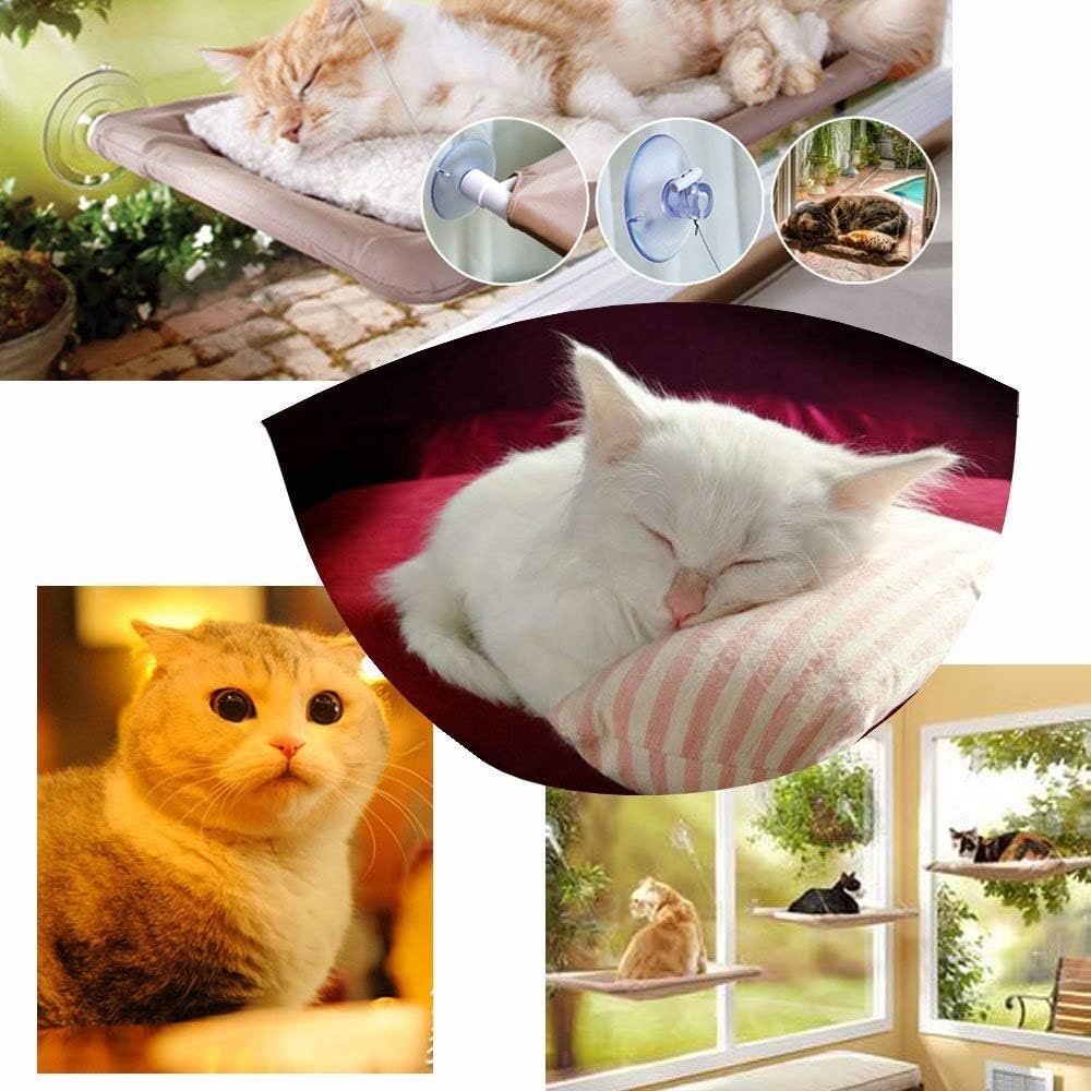 Kattenhangmat voor raam met zuignappen, ruimtebesparend hangbed, 55 x 32 cm