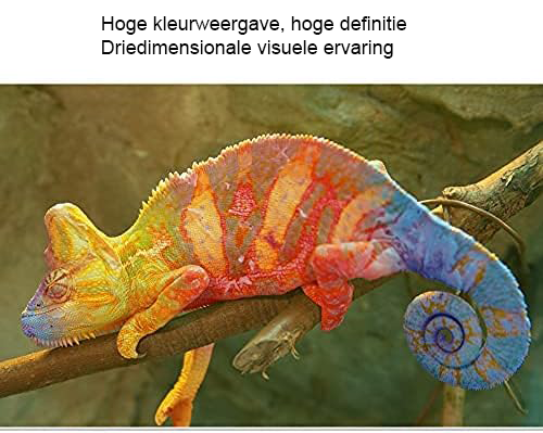 Draagbaar projectiescherm 120 inch 16:9 HD met opvouwbaar anti-kreuk canvas voor thuisbioscoop en buitengebruik