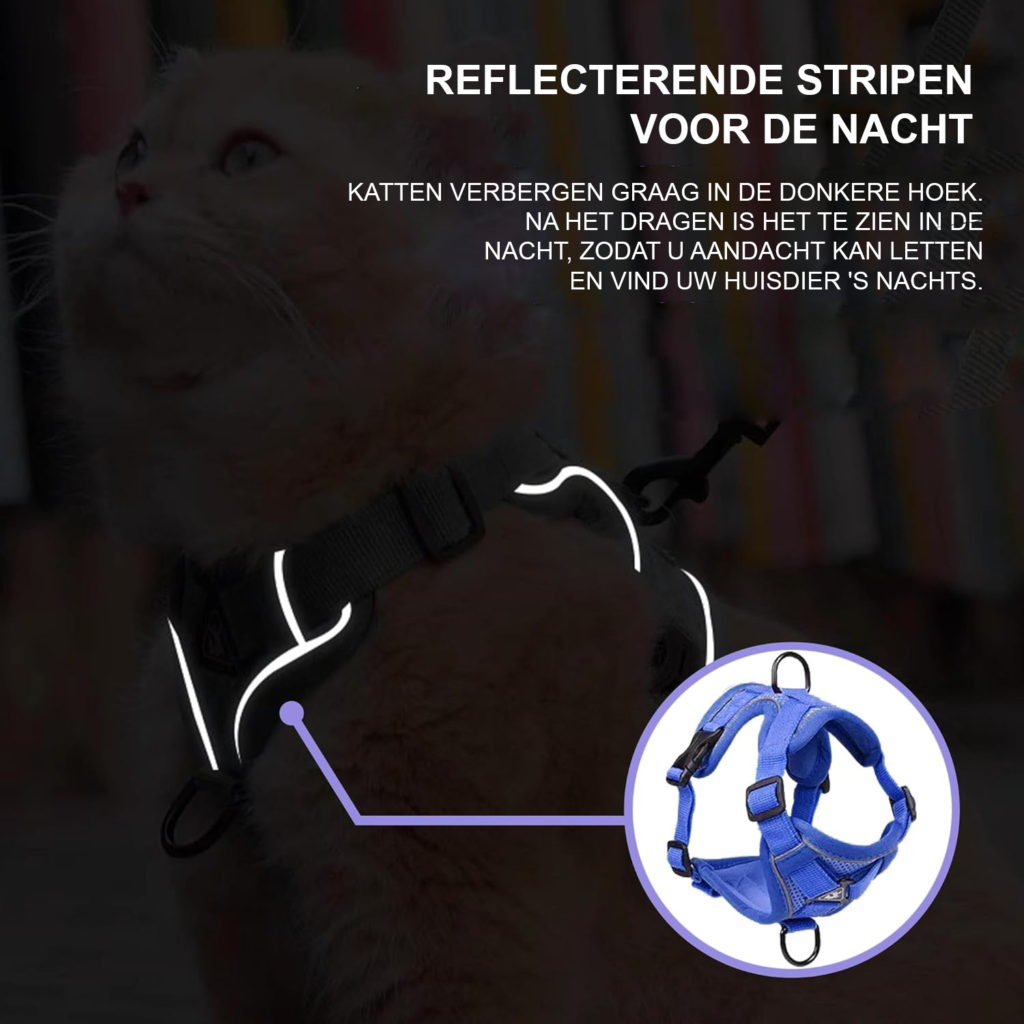 Verstelbaar blauw kattenharnas met 150 cm kattenriem, maat M, van polyester voor wandelen met de kat