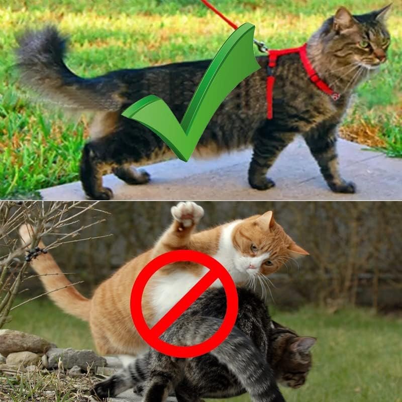 Verstelbaar zwart kattentuigje met looplijn en vluchtveiligheidstouw
