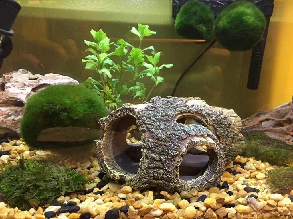 Aquarium ornament driftwood decoratie voor vissen