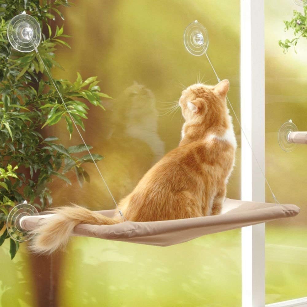 Kattenhangmat voor raam met zuignappen, ruimtebesparend hangbed, 55 x 32 cm