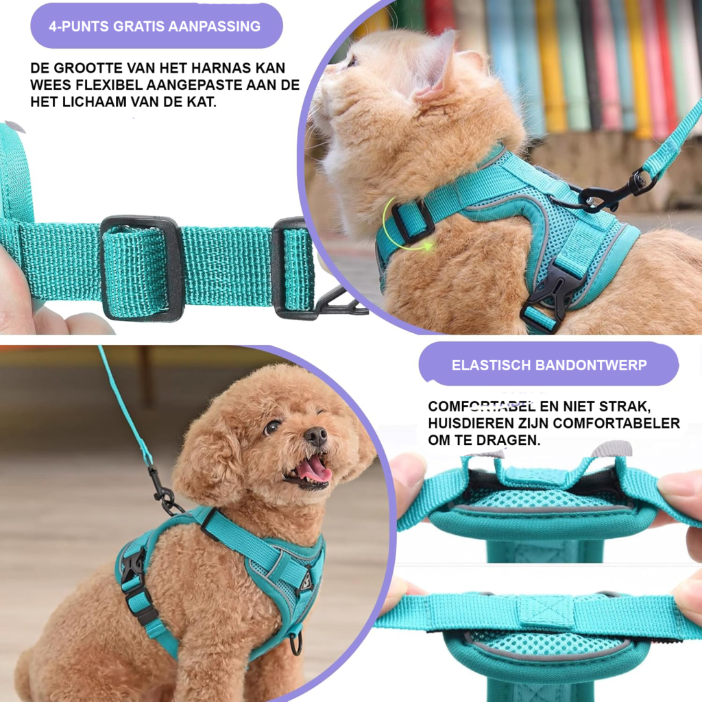 Verstelbaar blauw kattenharnas met 150 cm kattenriem, maat M, van polyester voor wandelen met de kat