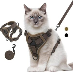 Kattenharnas met Riem – Verstelbaar en Ontsnappingsbestendig – Reflecterend Mesh Veiligheidsvest – Voor Katten en Kittens S/M