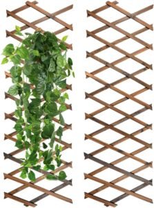 Houten Planten Trellis Set van 2 – Klimplantenrek en Plantensteun – Scheidingswand en Wanddecoratie – 190 x 30 cm
