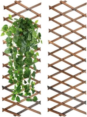 Houten planten trellis set van 2 voor klimplanten, 190 x 30 cm, uitbreidbare plantensteun voor tuin en binnen