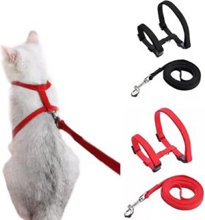 Verstelbaar zwart kattentuigje met looplijn en vluchtveiligheidstouw