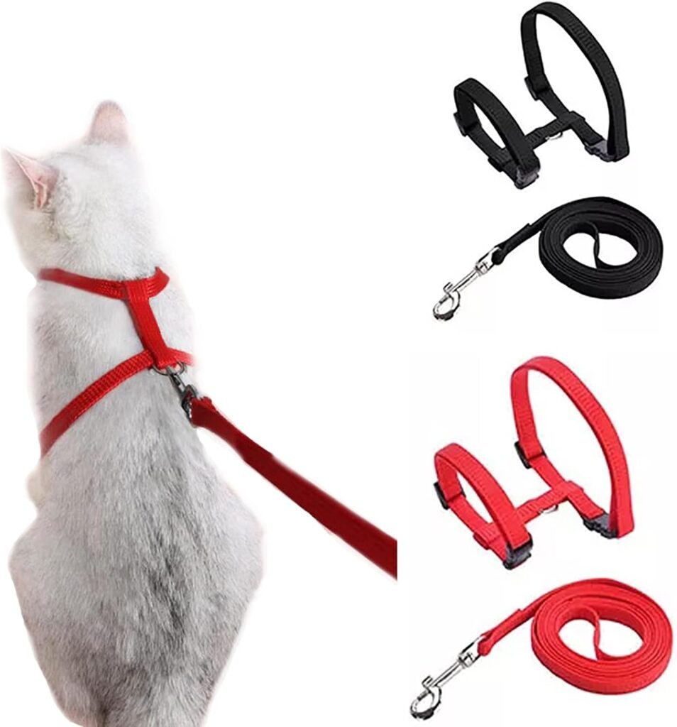 Verstelbaar zwart kattentuigje met looplijn en vluchtveiligheidstouw