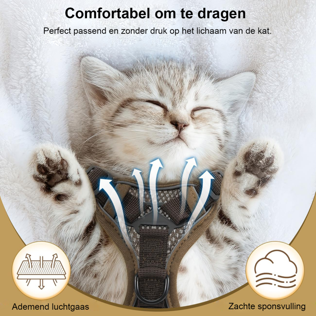 Kattenharnas met riem, verstelbaar ademend mesh vest met reflecterende strip voor katten en kittens, maat M