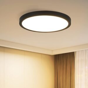 Zwarte LED plafondlamp plat design voor keuken, slaapkamer en badkamer
