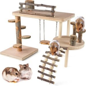 Hamsterspeeltuin – Hamster Activiteitencentrum met Hellingen en Speelgoed – Interactieve Speelplaats voor Natuurlijk Speelgedrag – Duurzaam Ontwerp