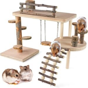 Hamsterspeeltuin met hellingen en speelgoed voor natuurlijk speelgedrag