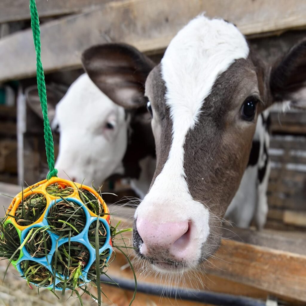 Voerbal voor paarden en geiten voor voerverrijking en stressverlichting