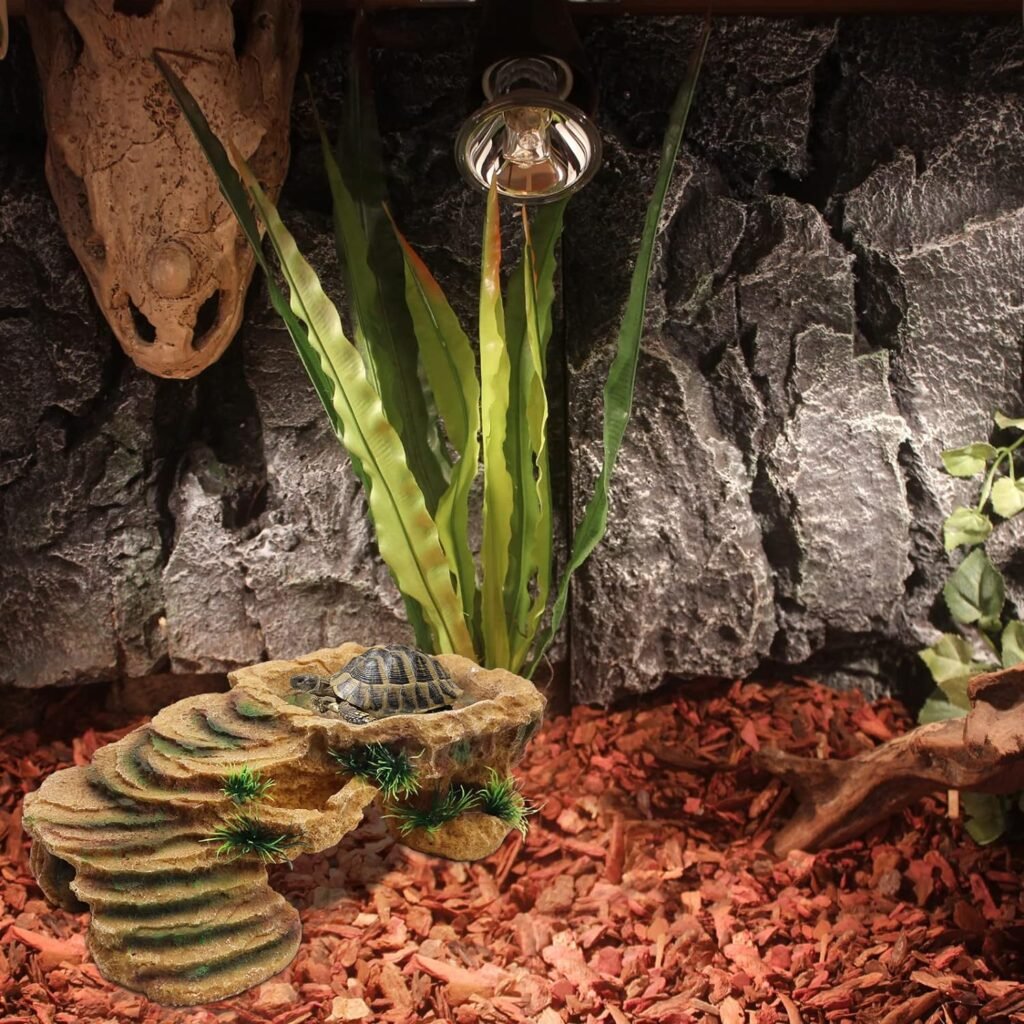 Schildpad schuilplaats van natuurlijk drijfhout voor terrarium, geschikt voor schildpadden en hagedissen, 30 x 15 x 10 cm