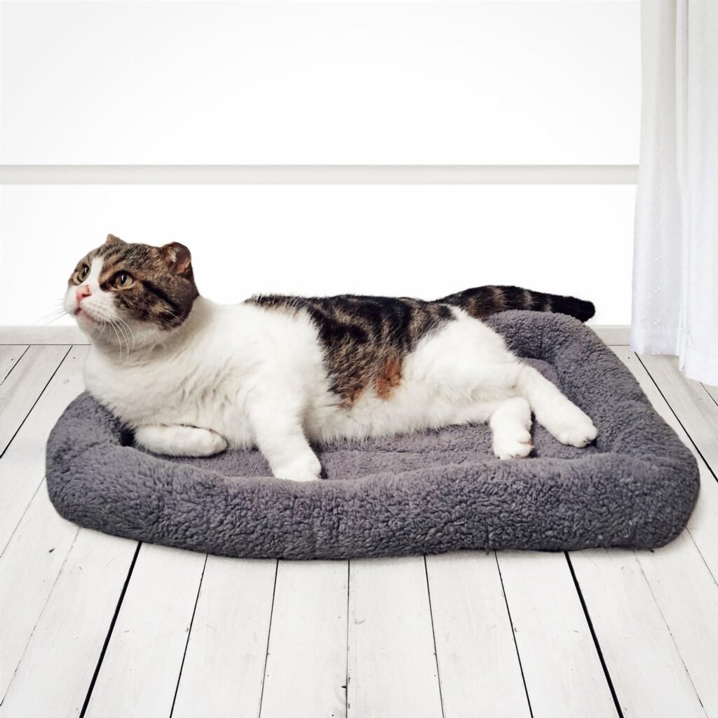 Zacht pluche huisdierbed met antislip onderkant voor honden en katten, 16 x 22 inch