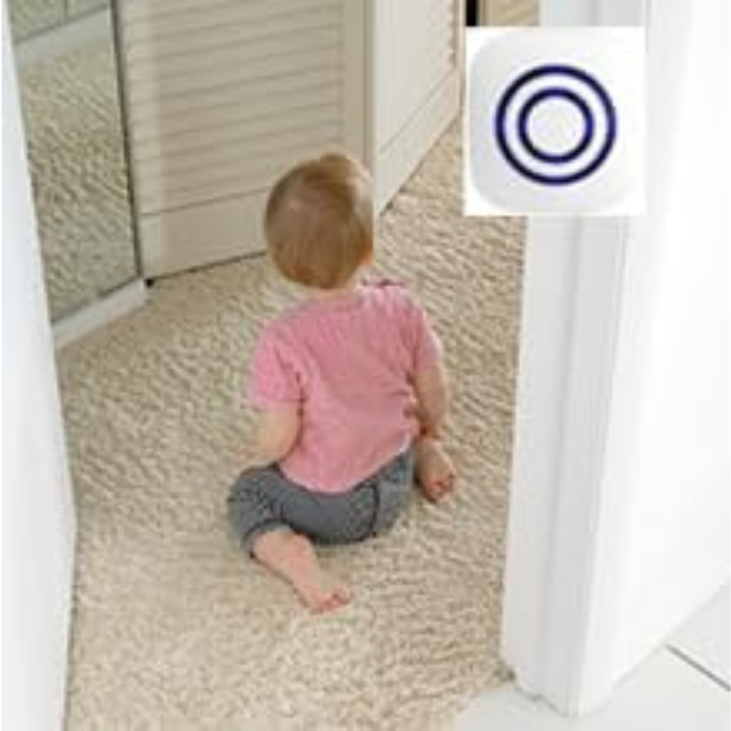 Draadloze infraroodsensor met bewegingsalarm, ontvanger en LED-lampjes