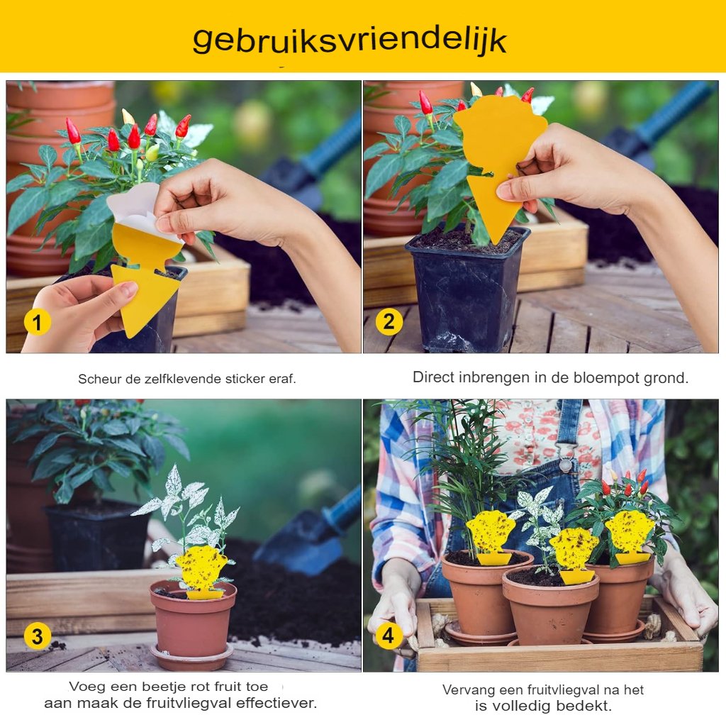 Fruitvliegenval voor kamerplanten 20 stuks