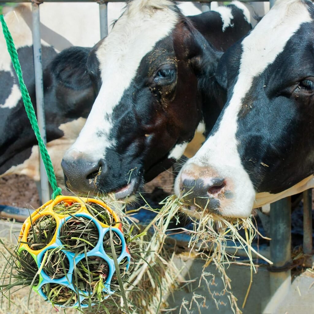 Voerbal voor paarden en geiten voor voerverrijking en stressverlichting