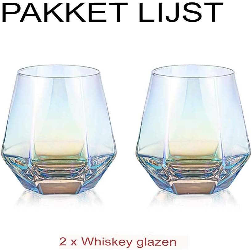 Gekantelde whiskeyglazen set van 2, 300 ml tumbler glazen voor whiskey en bourbon