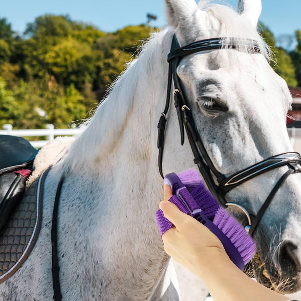 Paardenborstel zachte kardetsche wortelborstel met lange haren en verstelbare handriem paars