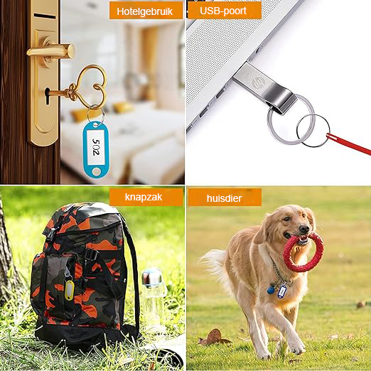 Sleutelhangers met beschrijfbare etiketten en verwisselbare labels voor sleutelorganisatie