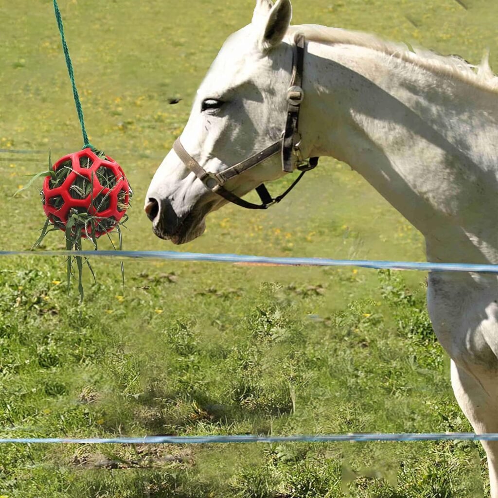 Voederstation voor paarden en geiten met voerbal voor stressvermindering