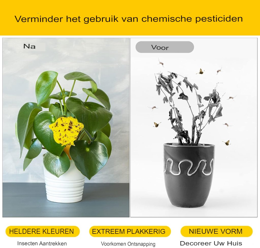 Fruitvliegenval voor kamerplanten 20 stuks