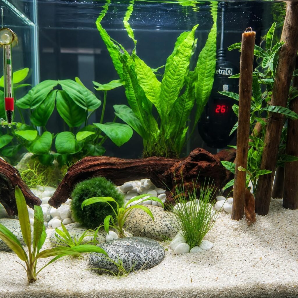 Natuurlijk drijfhout voor reptielen en aquariumdecoratie met unieke structuur en realistische details