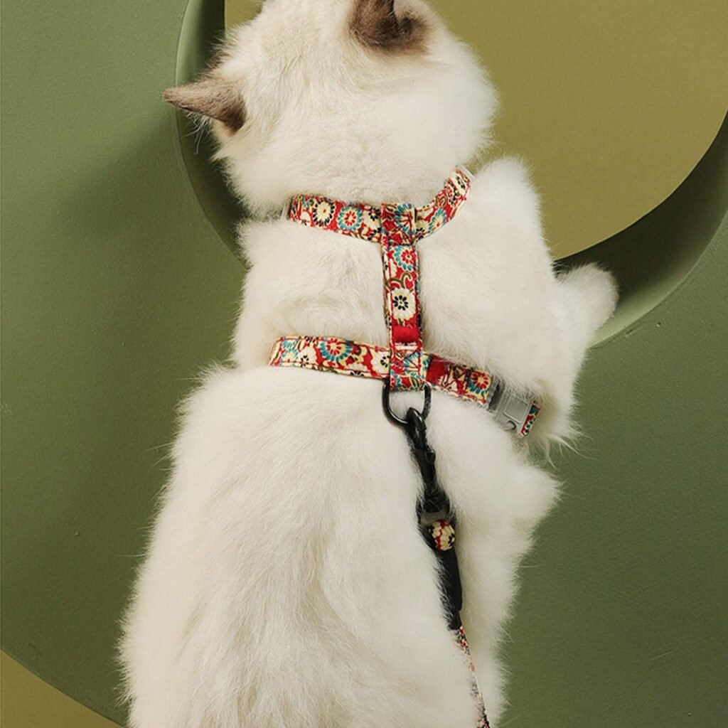 Aanpasbaar kattenharnas met 145 cm touwlijn maat M rood