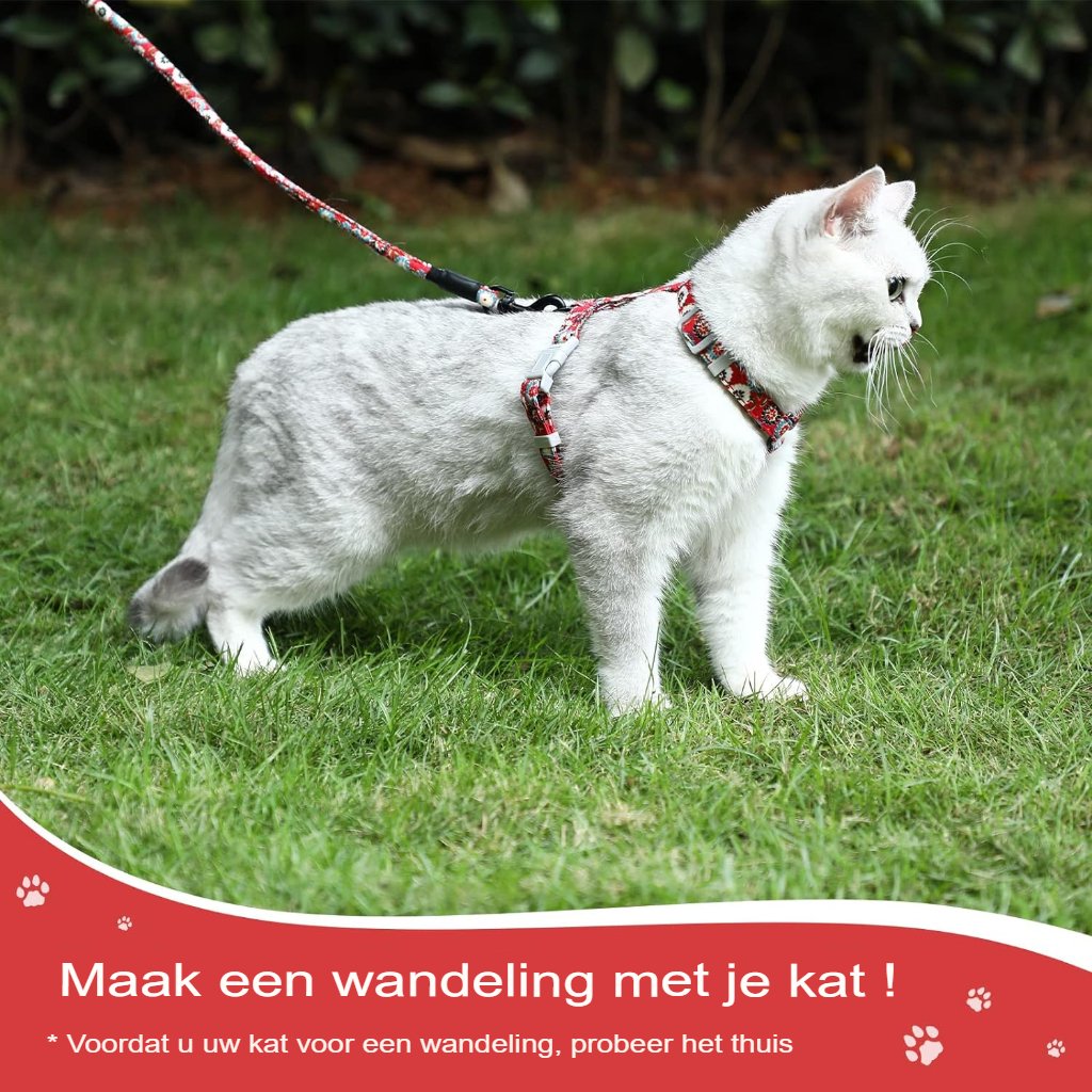 Verstelbaar kattenharnas met 145 cm touwlijn, rood, maat S