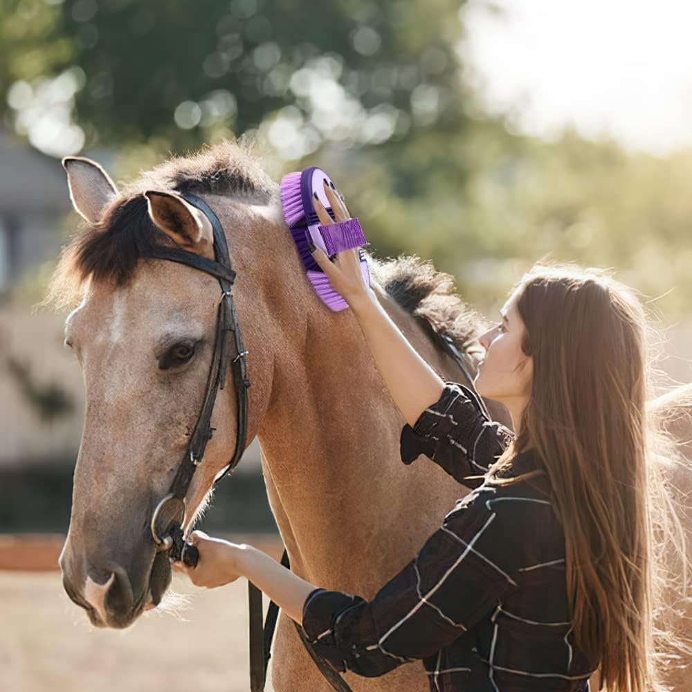 Paardenborstel zachte kardetsche wortelborstel met lange haren en verstelbare handriem paars